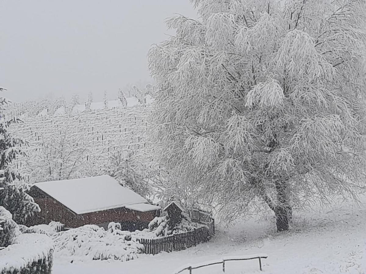 Valditerra Vini - B&B La Rombetta Tassarolo Buitenkant foto