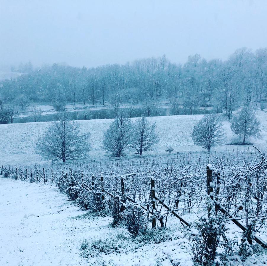 Valditerra Vini - B&B La Rombetta Tassarolo Buitenkant foto